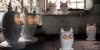 Итальянский светильник KARMAN - TI-VEDO table lamp CT105 1B INT INDOOR Итальянский светильник KARMAN - TI-VEDO table lamp CT105 1B INT INDOOR